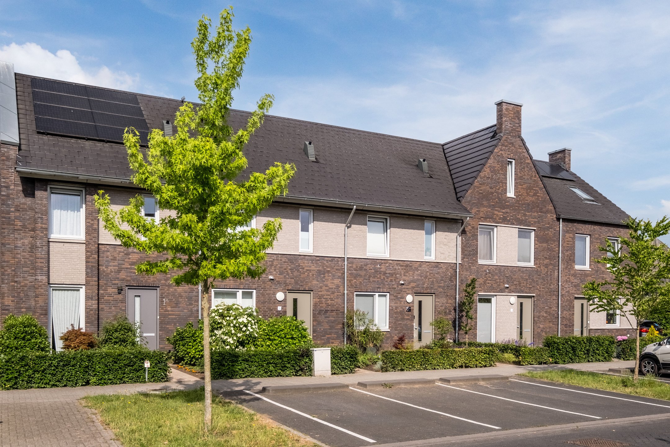 homes for rent on Zebrakever 1B